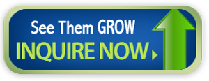 Watch Them Grow - INQUIRE NOW!