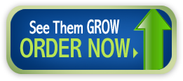 See Them Grow - ORDER NOW!